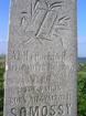 Somossy Sámuel lelkész sírja
