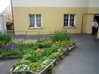 P1000163_.JPG