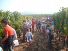bemásolt képek 054.jpg