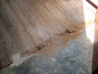 2009.05.01 020.jpg