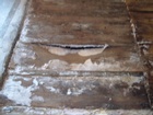 2009.05.01 023.jpg