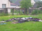 DSCN5006.JPG