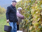 SzŘret 2010 035.jpg