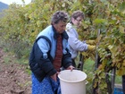 SzŘret 2010 038.jpg