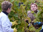 SzŘret 2010 039.jpg