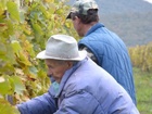 SzŘret 2010 045.jpg