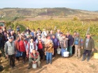 szüret 2010 október 18 (34).jpg