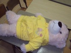 DSC00847.JPG