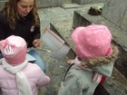 DSC01002.JPG