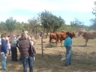 2011Sérültek szürete 047.jpg