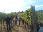 2011Sérültek szürete 050.jpg