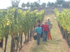 2011Sérültek szürete 052.jpg