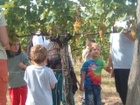 2011Sérültek szürete 054.jpg