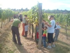 2011Sérültek szürete 055.jpg