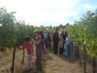 2011Sérültek szürete 057.jpg