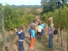 2011Sérültek szürete 061.jpg