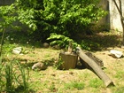 DSCN1705.JPG