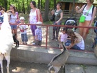 DSCN1747.JPG