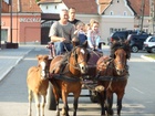 pic_ovodai-bogracs-2012-06-03-141.jpg