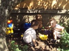 DSC03100.JPG