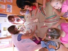 DSCN2658.jpg