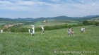 20120512(123570).jpg