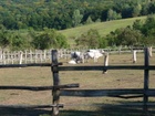 P1010244.JPG