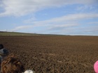 IMG 080.jpg