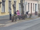 P1010379.JPG