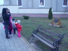 Kép 186.jpg