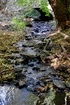 IMGP0895a.JPG