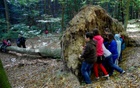 IMGP0927a.JPG