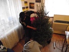 DSCF4441.jpg