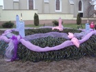DSC04719.JPG