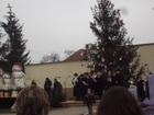 DSC04728.JPG