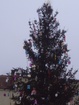 DSC04736.JPG