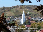 P1000618.jpg