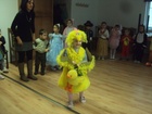 DSC04818.JPG