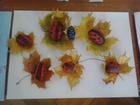 2014-10-22 10.03.06.jpg