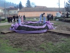 DSC05118.JPG