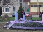DSC05144.JPG