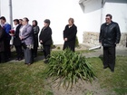 P1010989.JPG