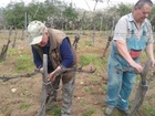 Munka közben 3.jpg