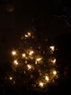 DSC02760.JPG
