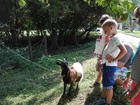 2018-08_Napkozis_tabor_VV28.jpg