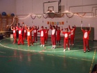 Vuk 3.o